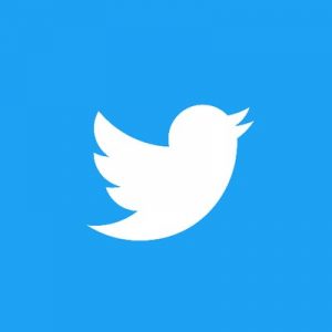 Twitter logo: a white bird on a blue background